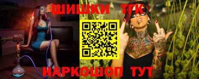 стаф Можга