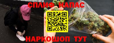 стаф Можга