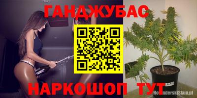 шишки Можайск