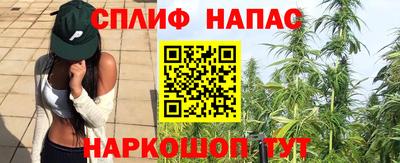шишки Можайск